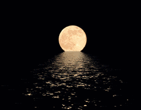 朦胧的夜色,良辰美景"月上柳梢头,人约黄昏后"
