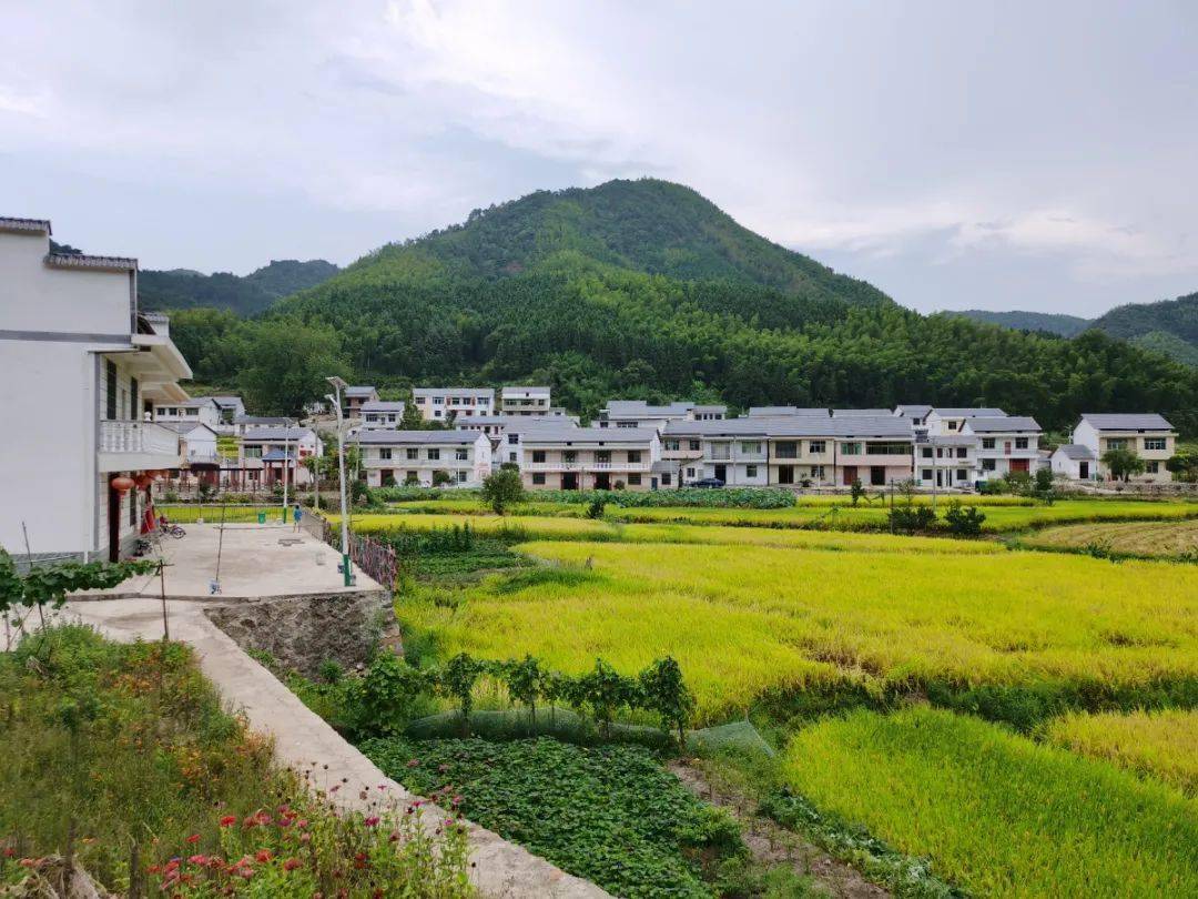 黎川县:大力改善农村人居环境 建设美丽宜居乡村