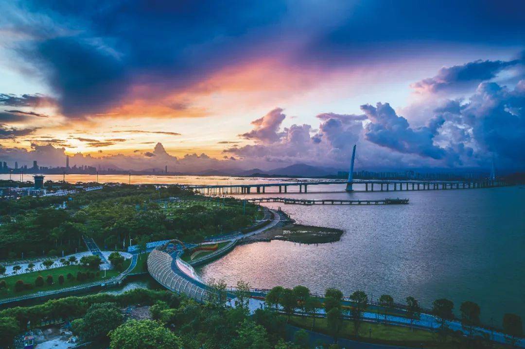 环西丽湖碧道开建啦!可穿林,溯溪,见湖,问山