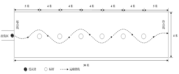 小学体育篮球教案模板范文_体育教案模板范文篮球_篮球教案模板范文