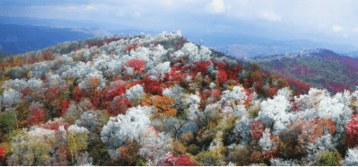 盛宴|赏醉美金秋 游大美白山