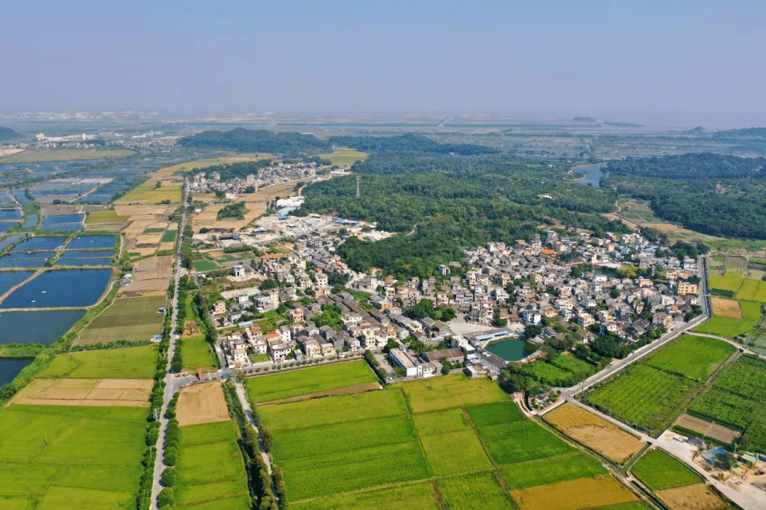 参选"广东十大美丽乡村"中山市南朗街道左步村此外,围绕特色产业,民宿