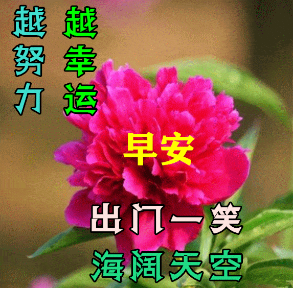 9月18日最漂亮早上好动态表情图片大全,早上好动图美图大全