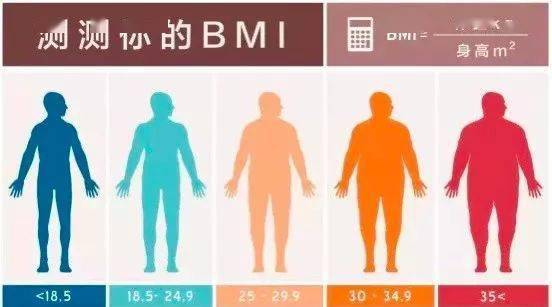 bmi=体重(公斤/身高(米)的平方