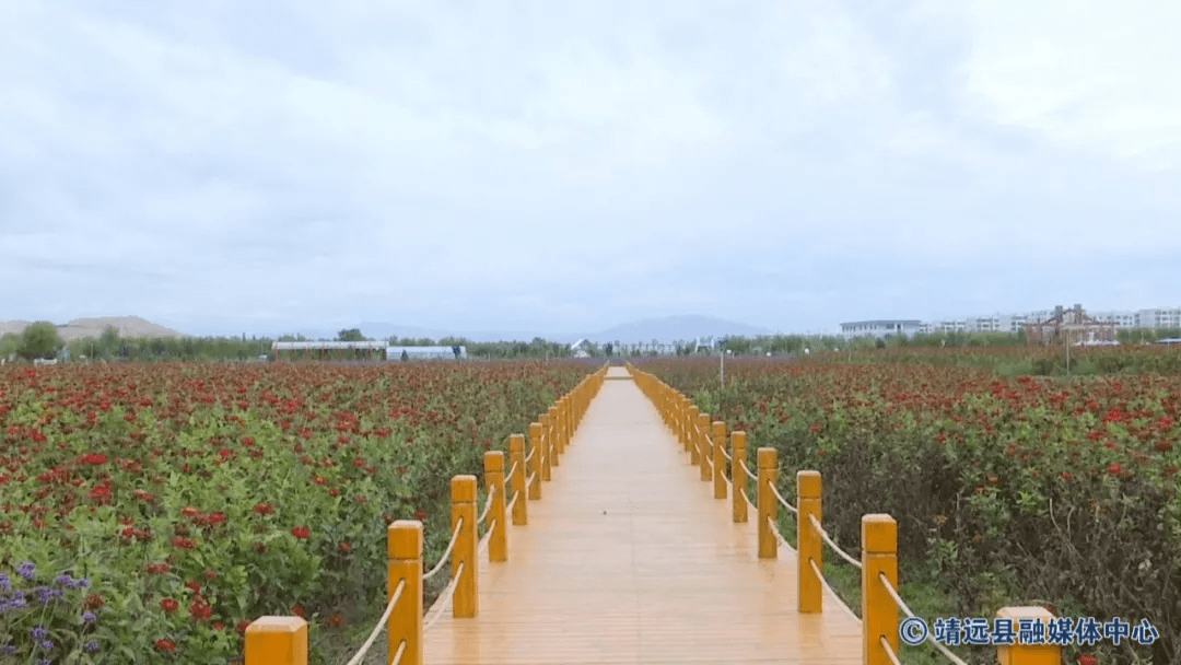 靖远水岸三合景区多措并举备双节焕然一新迎客来