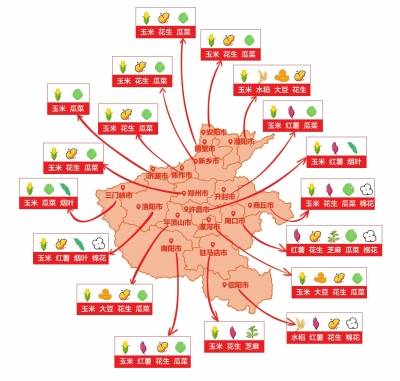 河南省各地秋作物分布图