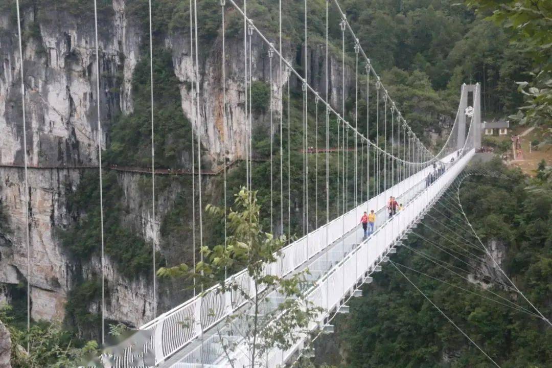 预约邀请丨国庆期间,五彩洋山河景区萌宠乐园,马戏表演强势来袭!