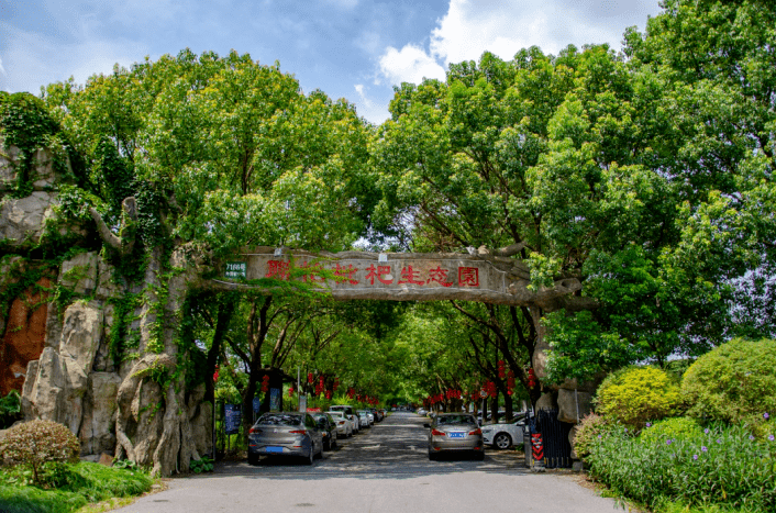 上海崧泽遗址博物馆 地址:青浦区沪清平公路3993