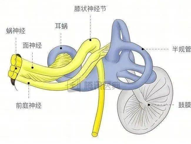 你的孩子还在不合理用耳吗小心突发性耳聋