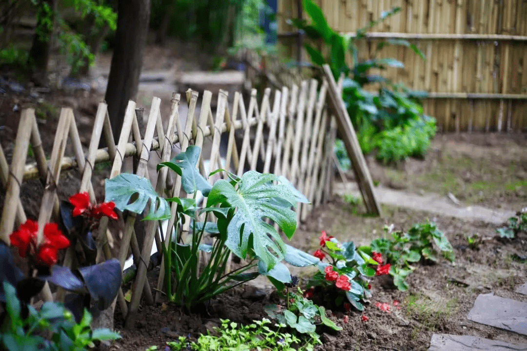 在乡下改造一个小院种菜养花回归田园生活