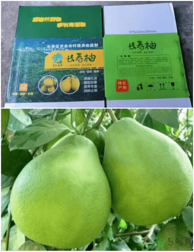 重庆市长寿区雷香沙田柚种植股份合作社