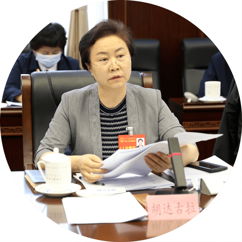 胡达古拉委员