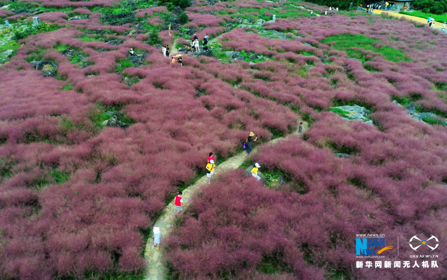 陈碧生|绘风景起风情 武陵山区生态旅游“显山露水”