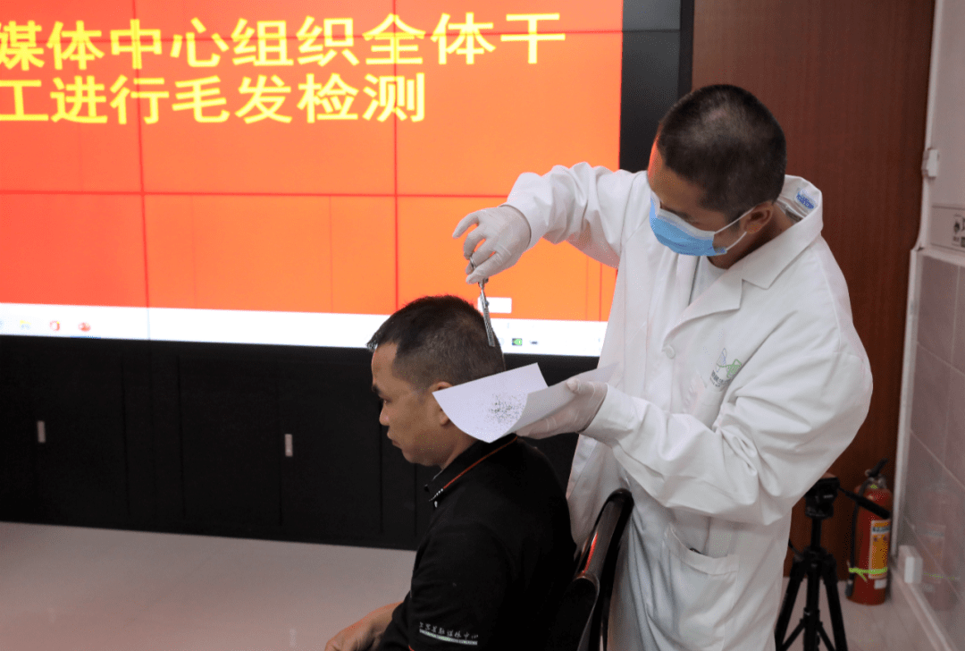上思县融媒体中心组织全体干部职工进行毛发检测