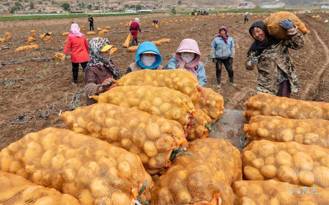 2021中国定西马铃薯大会将于10月9日在安定区召开