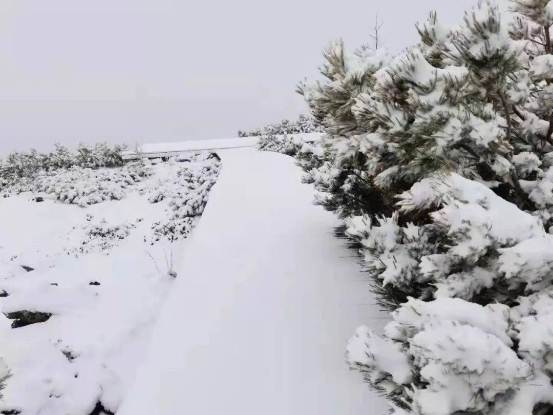 内蒙古这里迎来第一场雪,最低气温零下4