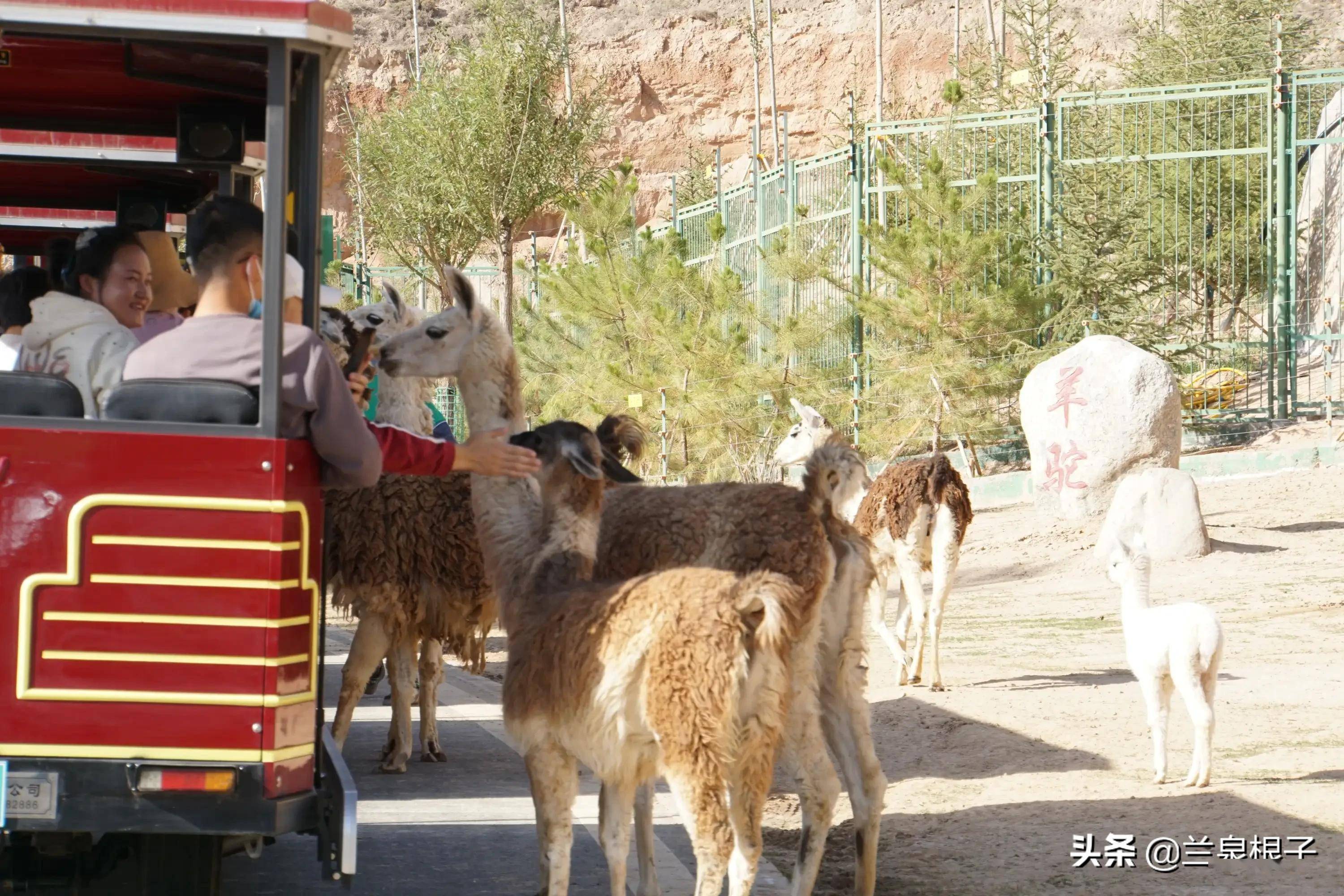 美丽的兰州野生动物园