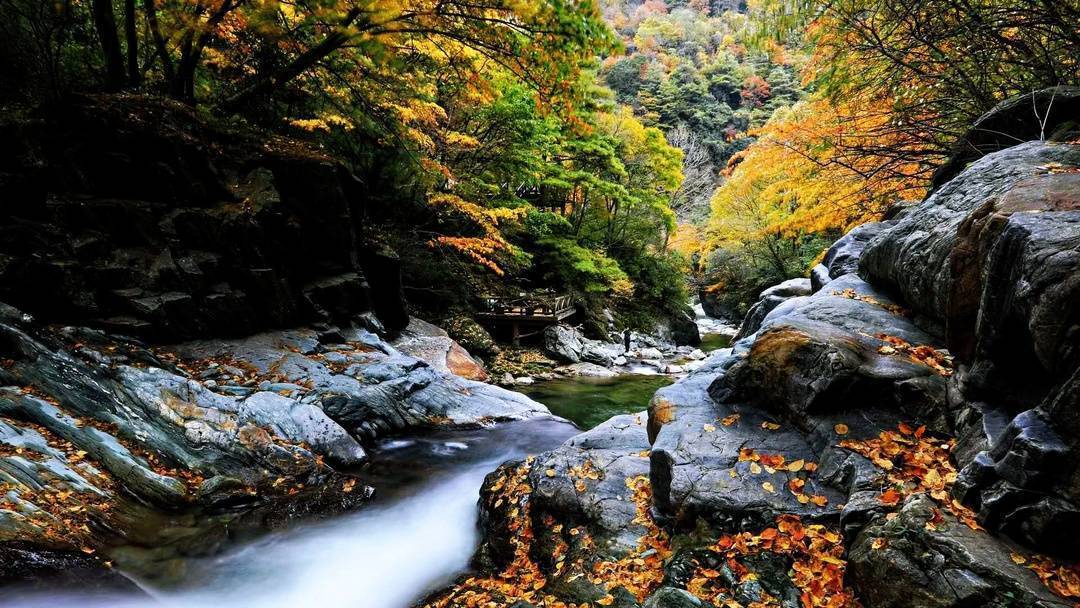 红叶节将持续至11月1,唐家河国家级自然保护区内有一条全长3.