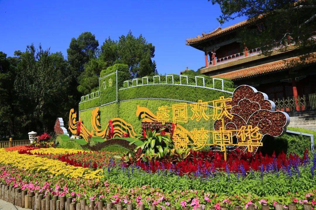 赏花观展体验游市属公园拉开国庆游园帷幕