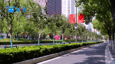 红了,南京的街头!国旗就该这样挂