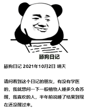 舔狗日记10.2_结果