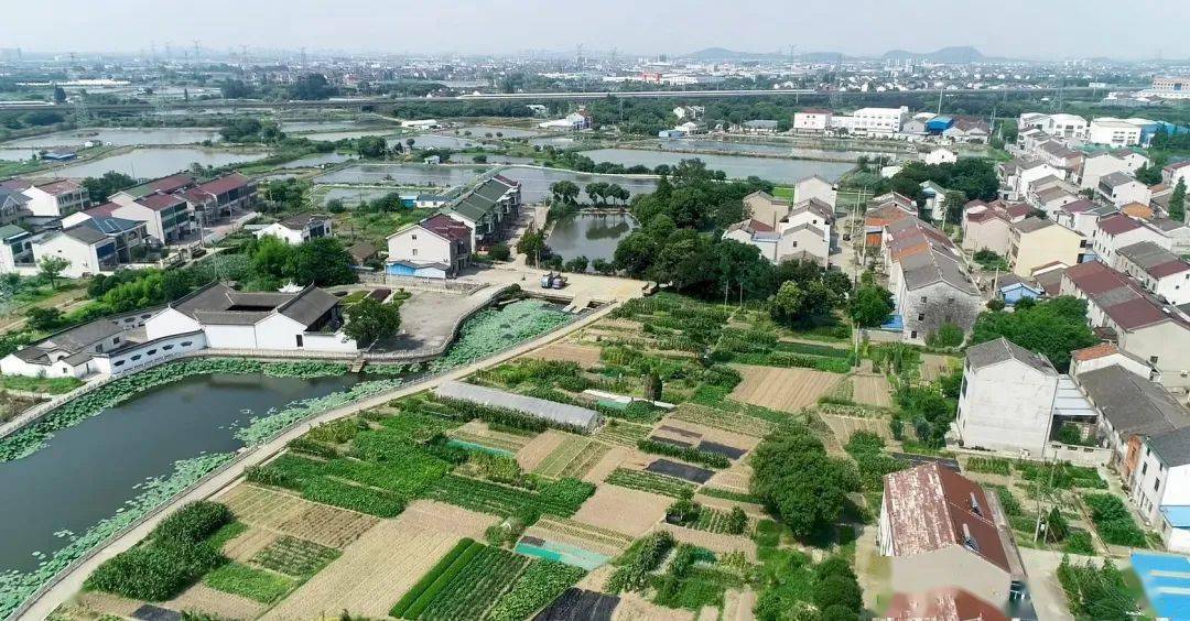 郑陆镇党建引领乡村振兴全域示范圈