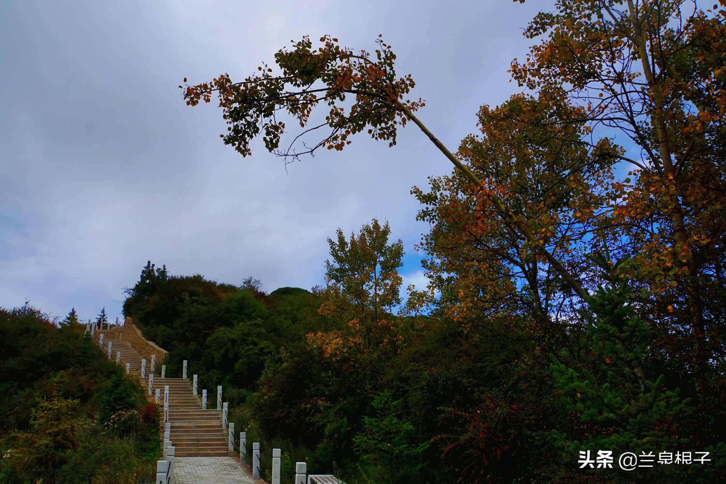 金秋十月兰州云顶山迎来一年中最富梦幻色彩最迷人的季节