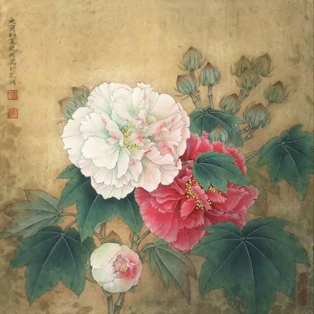 这些芙蓉花,真是太漂亮了