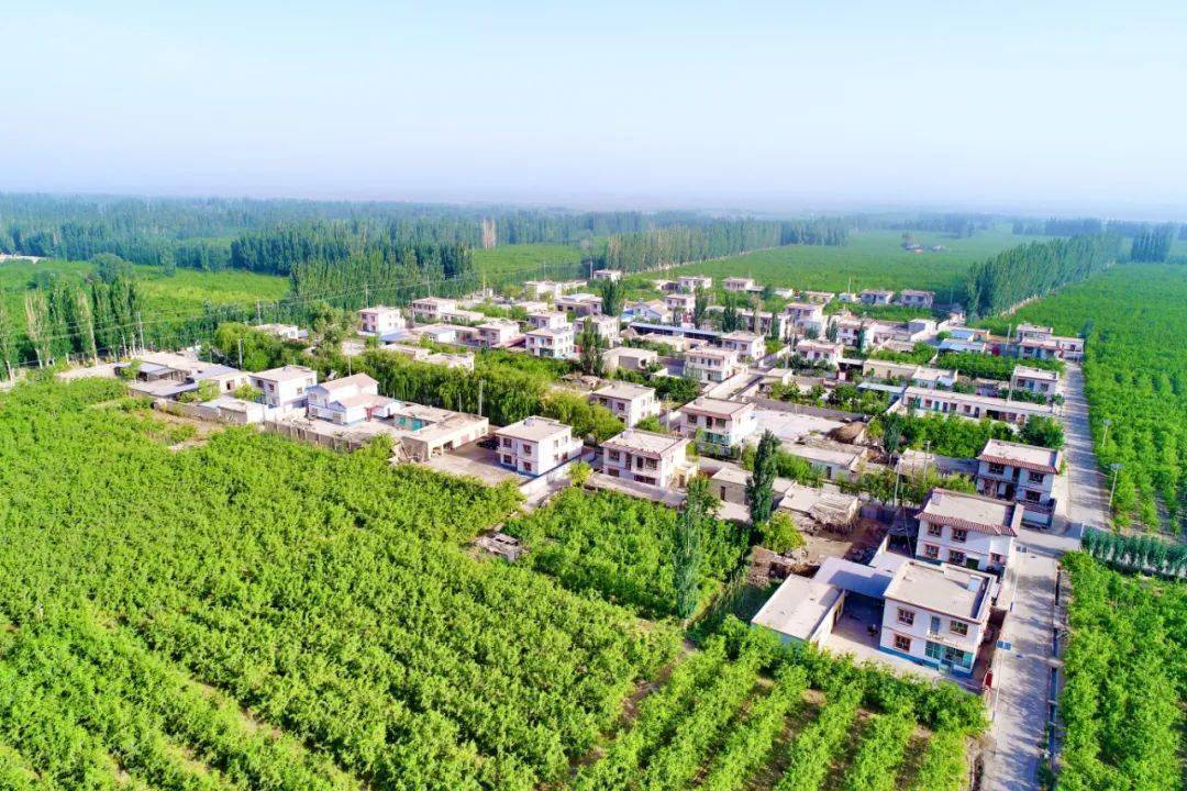 好消息!若羌县入选全国乡村建设评价样本县