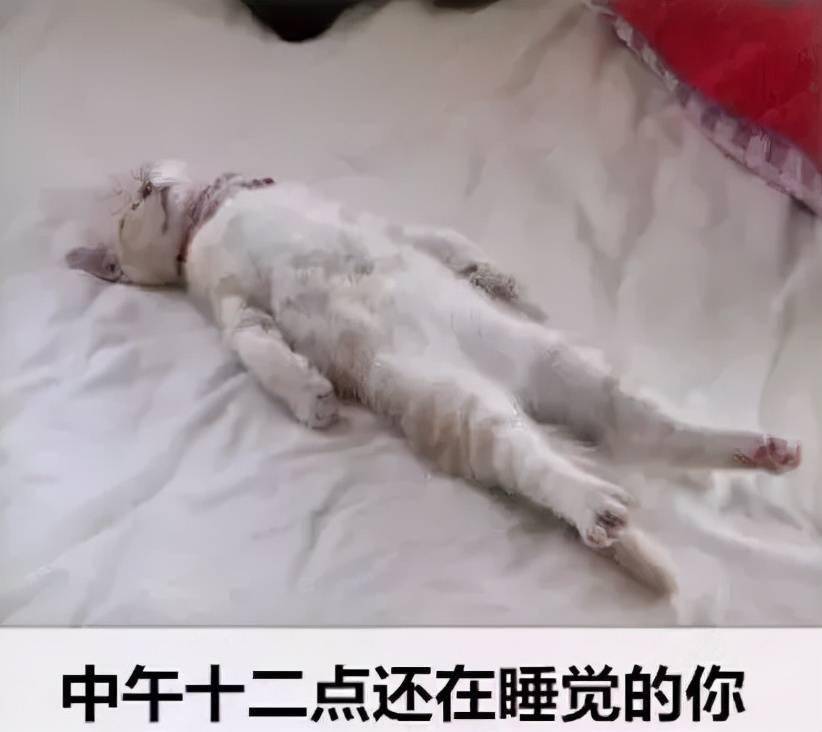 手机没电了?睡觉!总之,一睡解千愁!