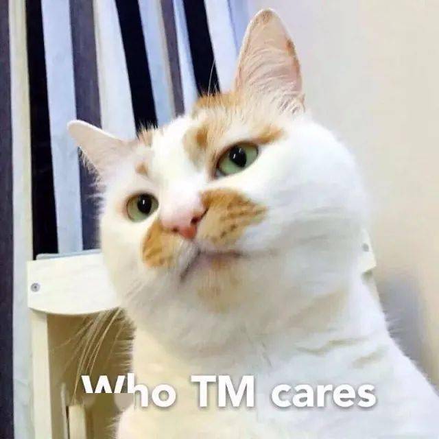 who tm care! | 第214期表情包