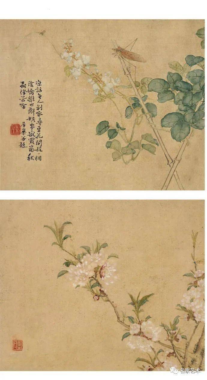 【名品视界】晚清画家.居巢的花鸟画欣赏(九)