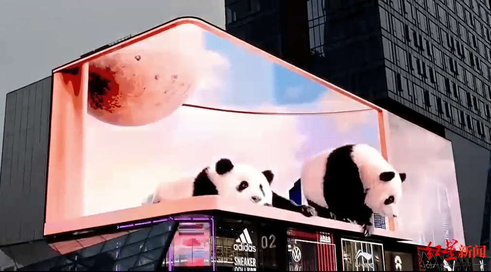 太古里的裸眼3d大熊猫"身世"曝光:来自卧龙,是一对胎