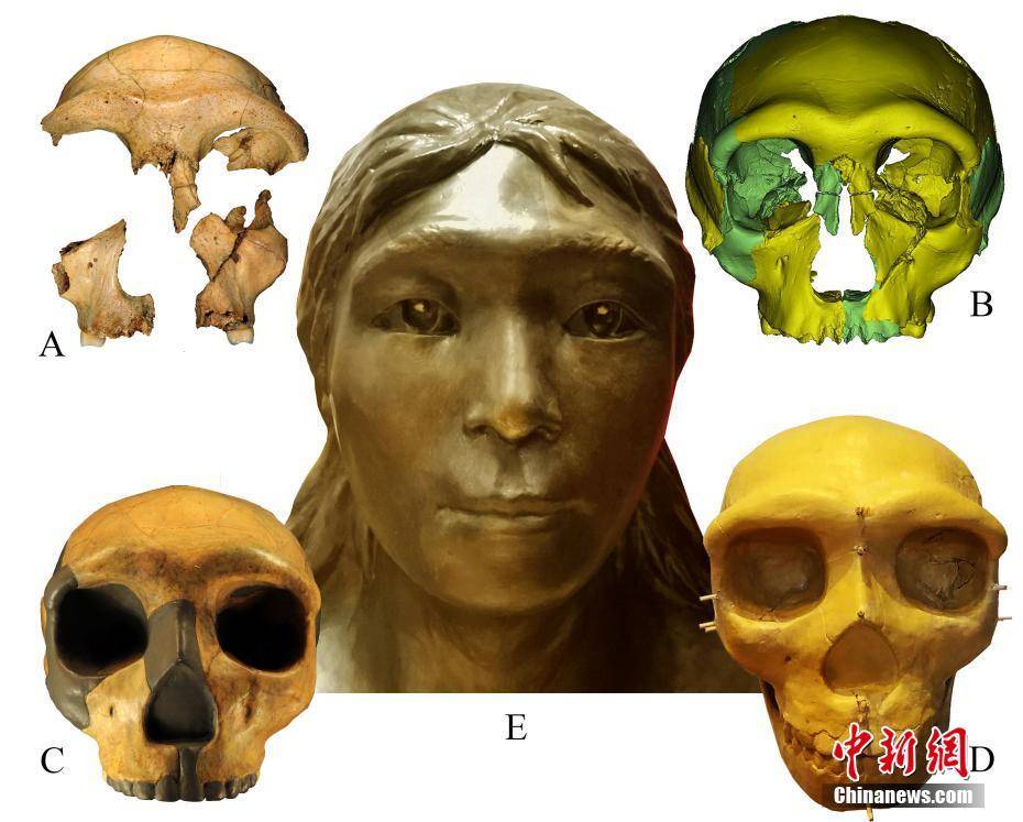 容貌|科学家复原华龙洞人容貌 证实东亚人类30万年前已向现代人演化