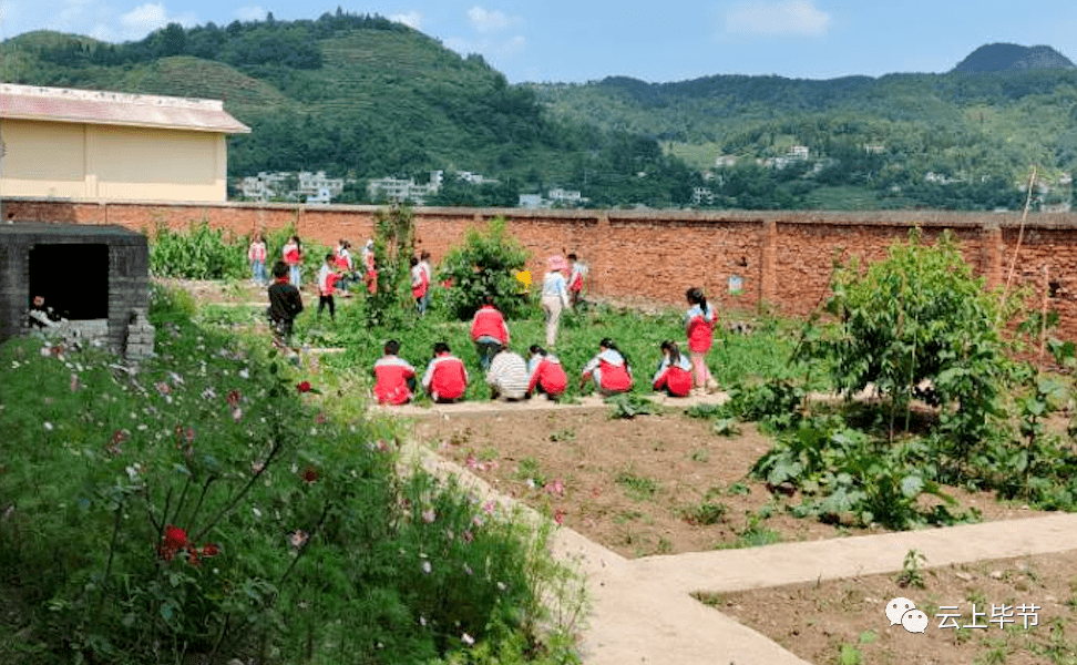 分田到班!贵州这所学校建成劳动实践基地,学生有了"自留地"