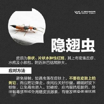 小心这种虫!千万别碰!_毒液