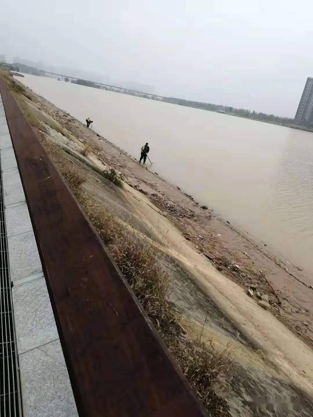 这个项目怎么了文强爆料:渭南沙王桥与渭蒲桥之间堤坝路路面下陷了,又