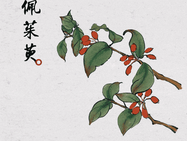赏菊重阳节,也是中国老人节,人们要表达对老人的孝敬,倡导全社会树立