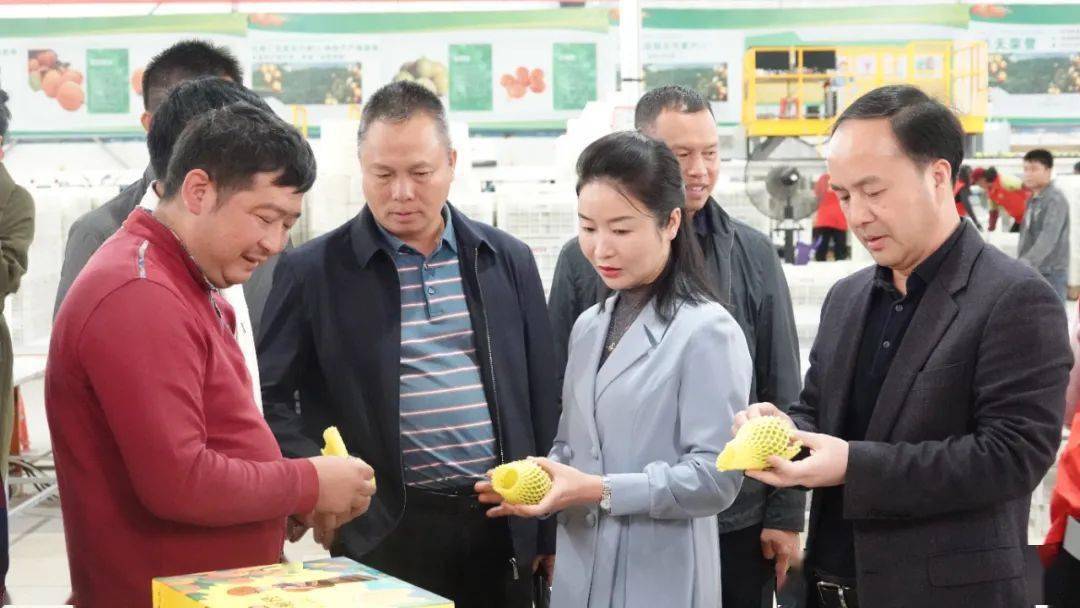 10月13日,县长黄小雪,县政协主席曾杰刚到位于葡萄镇的阳朔沐天农业