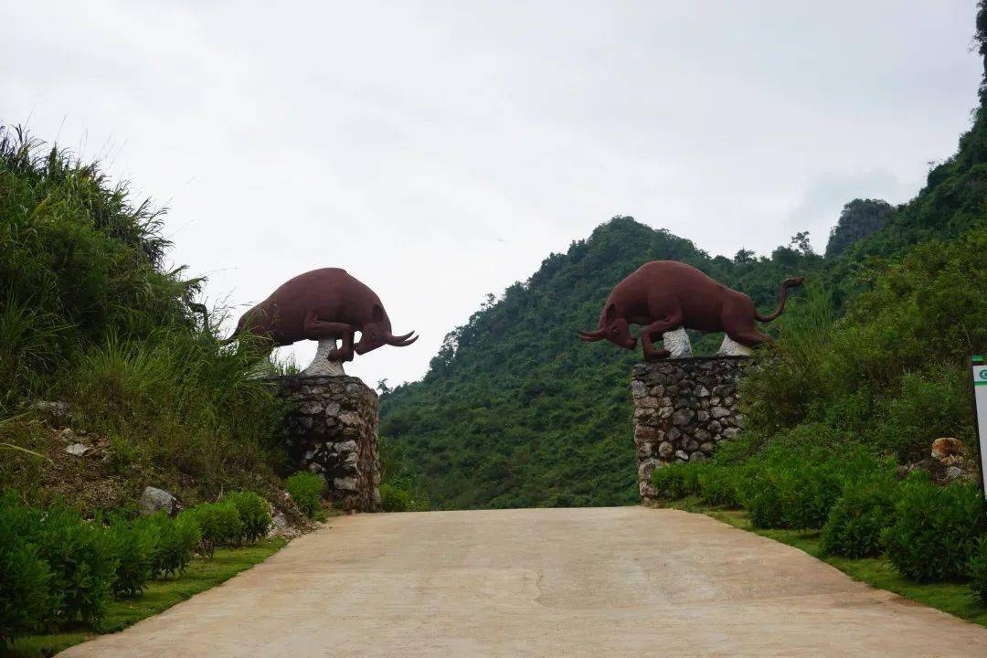 还记得葵阳燕山湖吗?你多久没去过了?