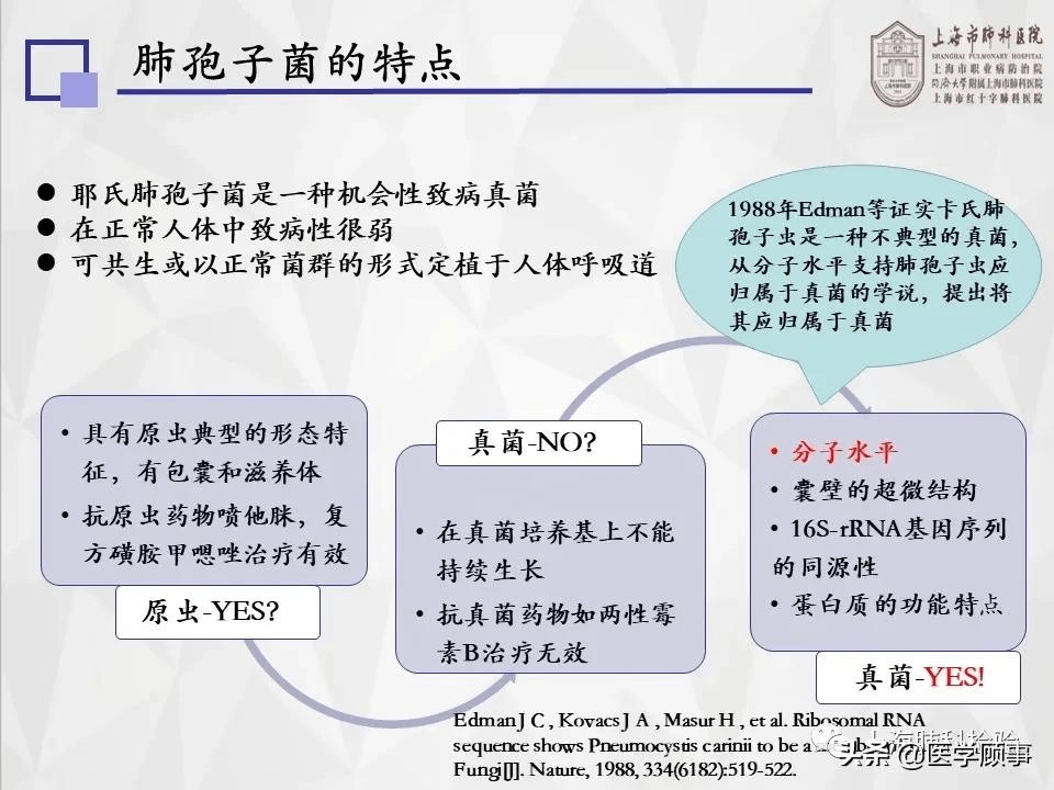 肺孢子菌病的临床特点,实验室检测,治疗及预防