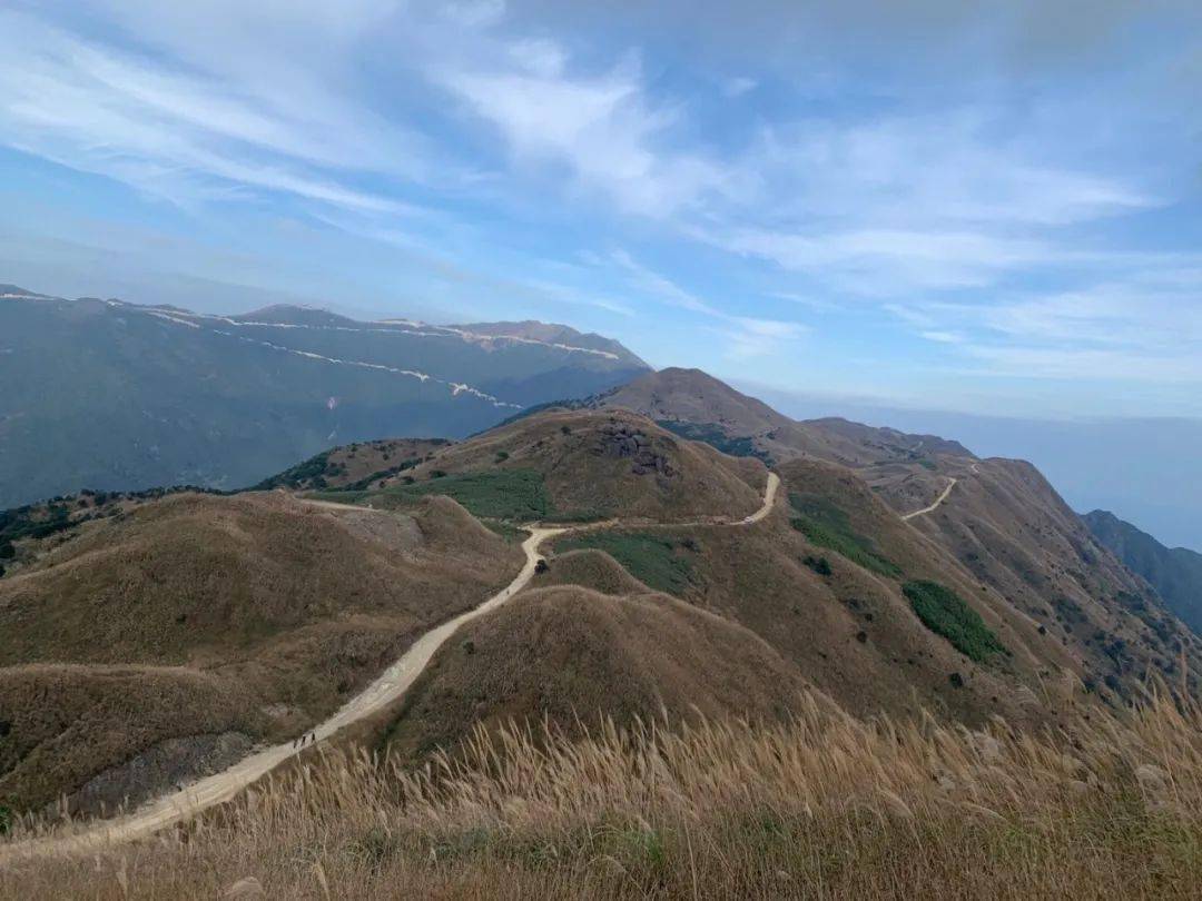 10月16/17号惠州大南山大草坡穿越,漫山遍野芦苇荡下摄影,云中漫步