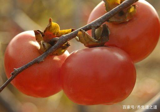 睡眠|深秋时节，养胃正当时，少食二果，常饮三水，做好四件事