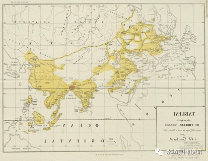 从挑战霍乱到颗粒污泥一一荷兰主流污水处理140年