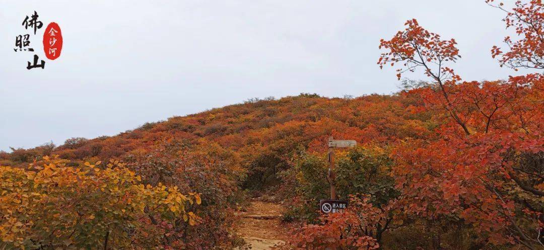游客眼中的佛照山_沙河