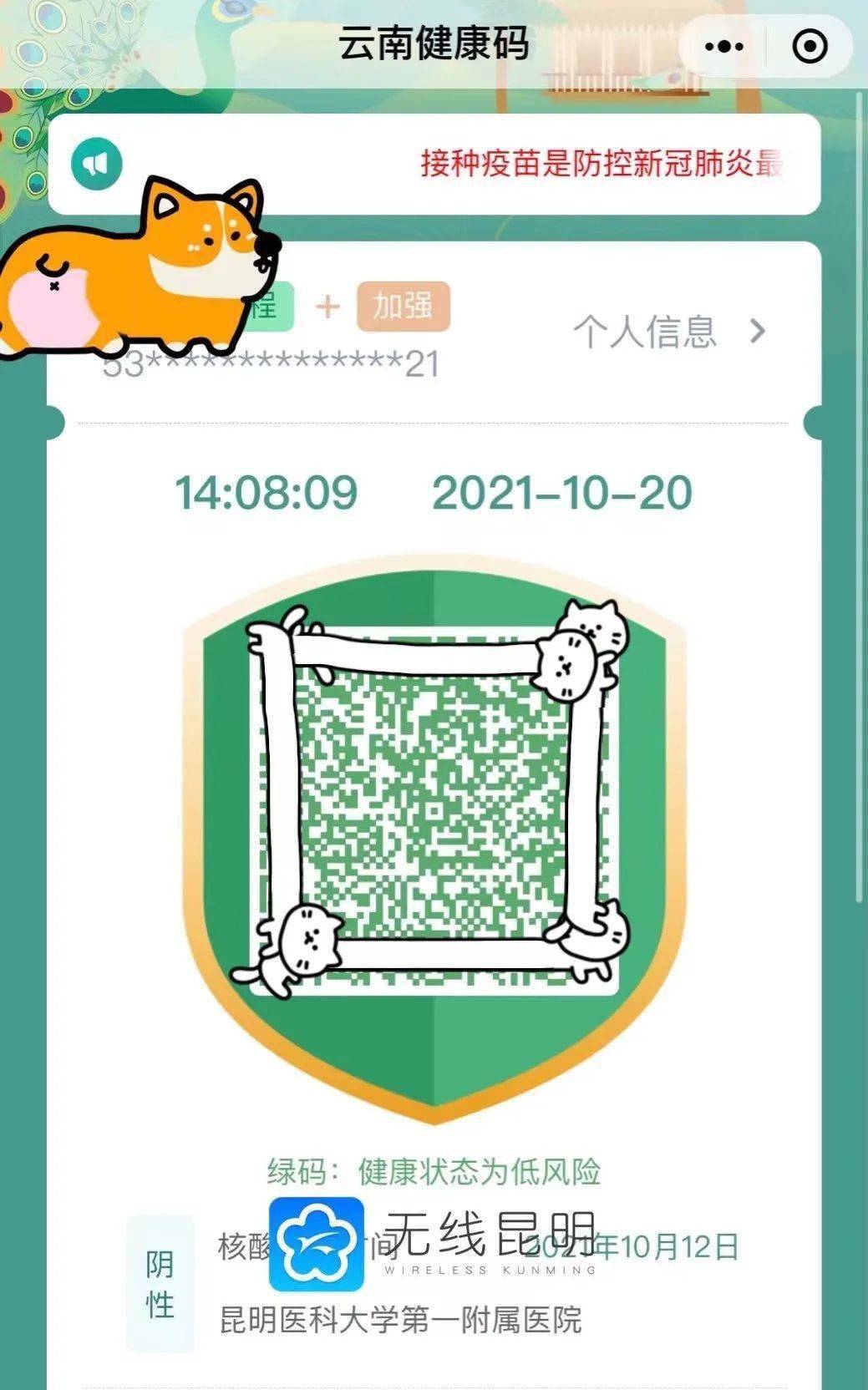 云南人打完第三针你的健康码就变金盾牌了