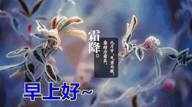 降的是"寒"情默默,降的是"寒"苞预放,爱在深秋,收获希望!