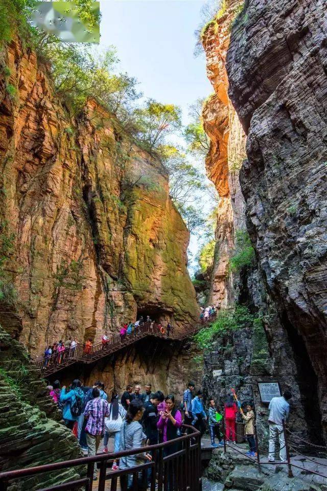 秋天来洛阳龙潭大峡谷观赏山水峡谷红叶斑驳景色宜人