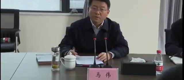 县委书记马伟在盛虹新材料桐昆恒欣新材料现场会办项目建设