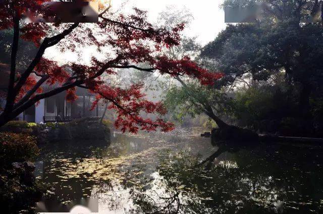 早春季节,梅花盛开,这里一片"香雪海",香气馥郁,沁人心肺.